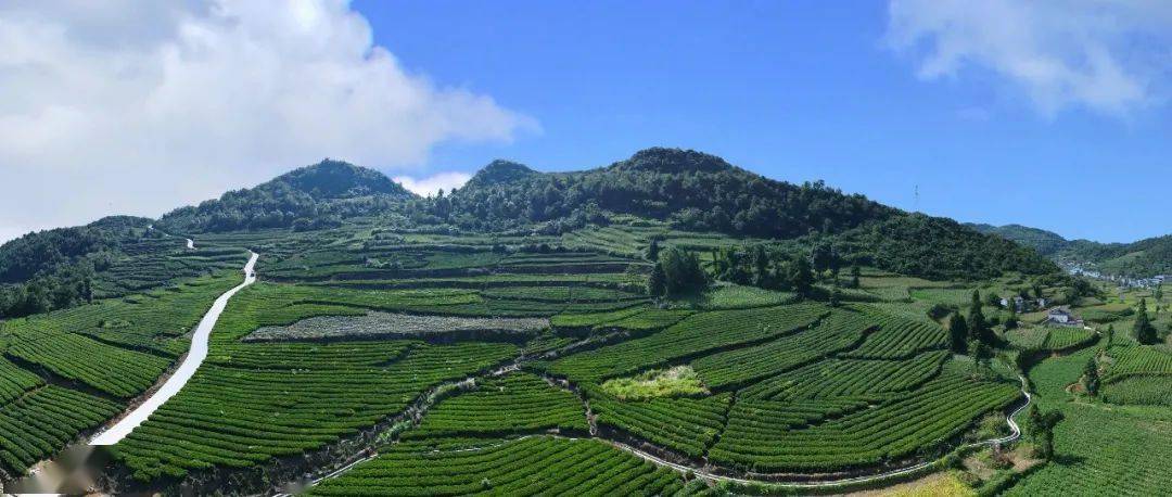 金沙县提升绿水青山颜值做大金山银山价值