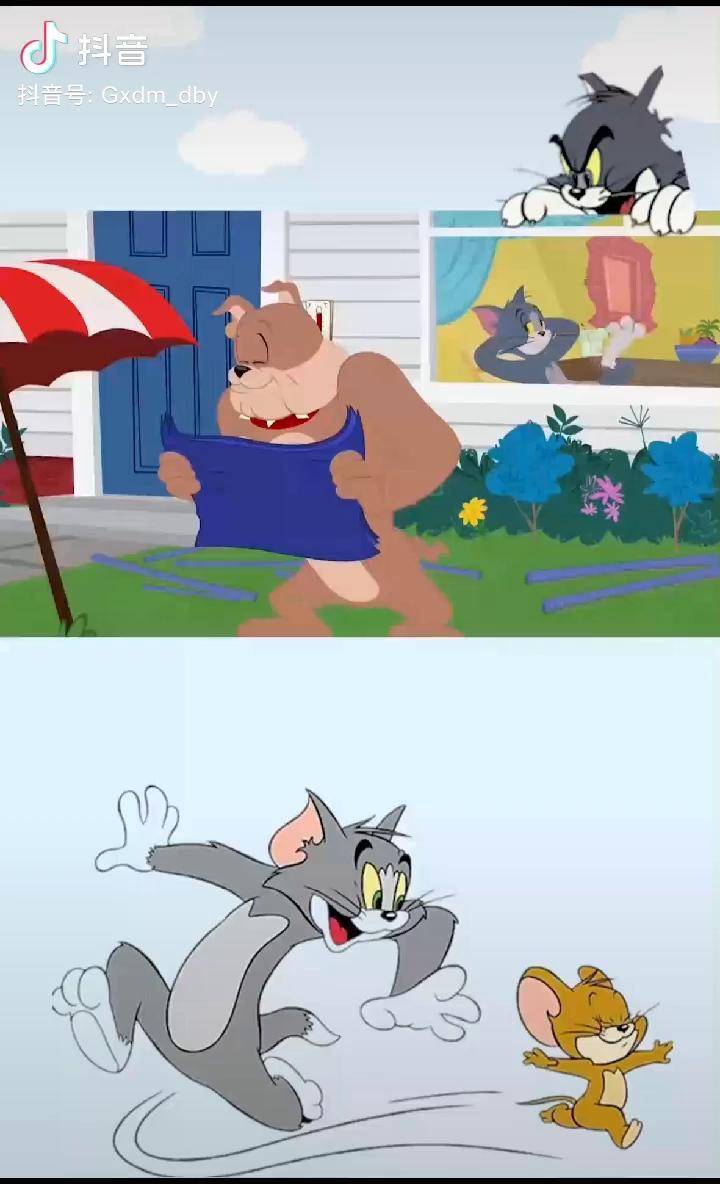 猫和老鼠方言配音汤姆和杰瑞齐聚一堂说好的兄弟情瞬间就变完全了