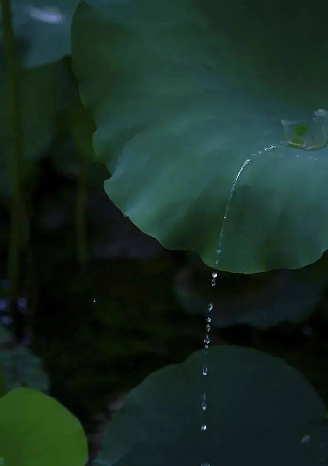 汪曾祺先生写的《昆明的雨,末段诗句"莲花池外少行人,野店苔痕一寸