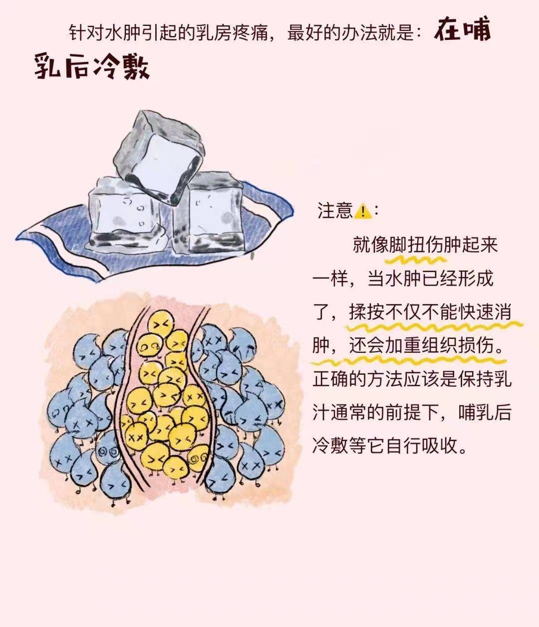 世界母乳喂养周|哺乳期乳房痛怎么办?——水肿篇