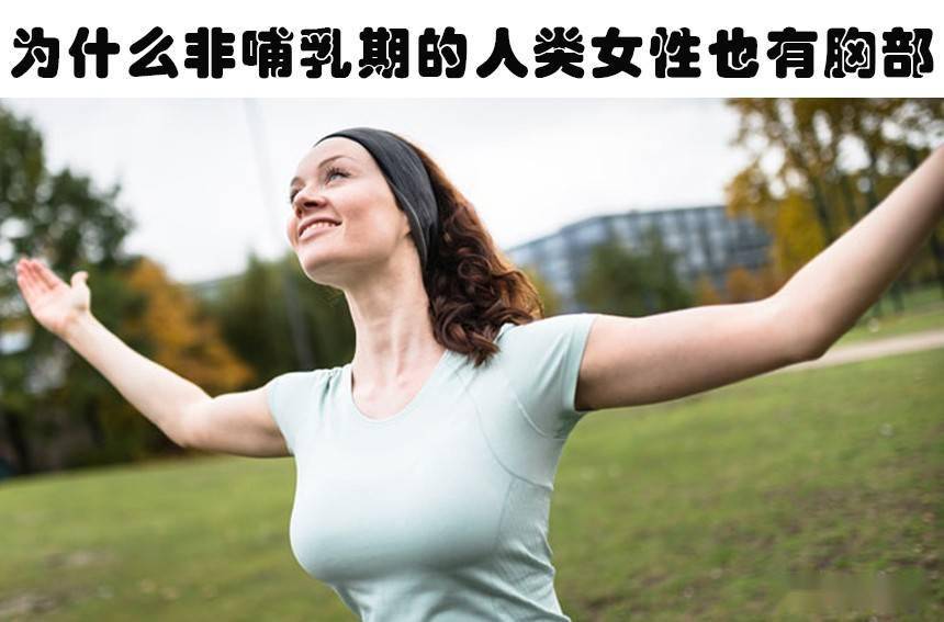 fead4852d5b24b38bc6f9e404e4e2cb1.jpeg