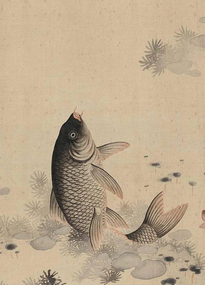 田世光笔下的小鱼儿真快活