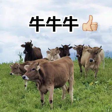 开进|8月7日厦门新冠疫苗接种点公布！还有，流动接种车也来了→→