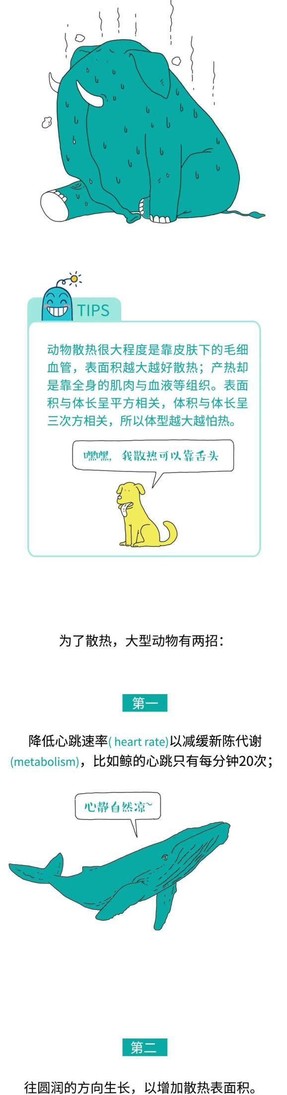 邢昕|哆啦A梦的缩小放大灯原来是个坑？