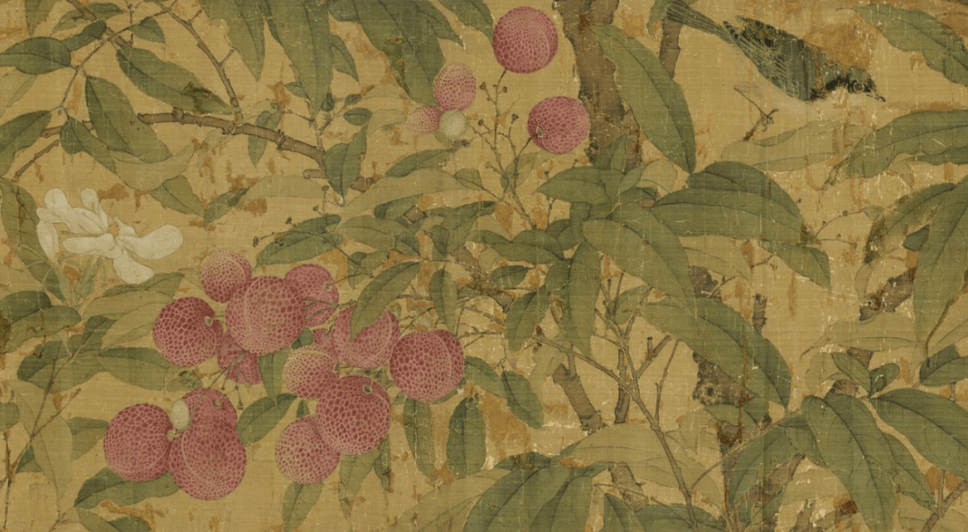 宋徽宗赵佶竟然是个画荔枝高手