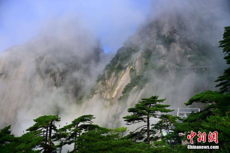 夏日黄山云雾缭绕宛如仙境