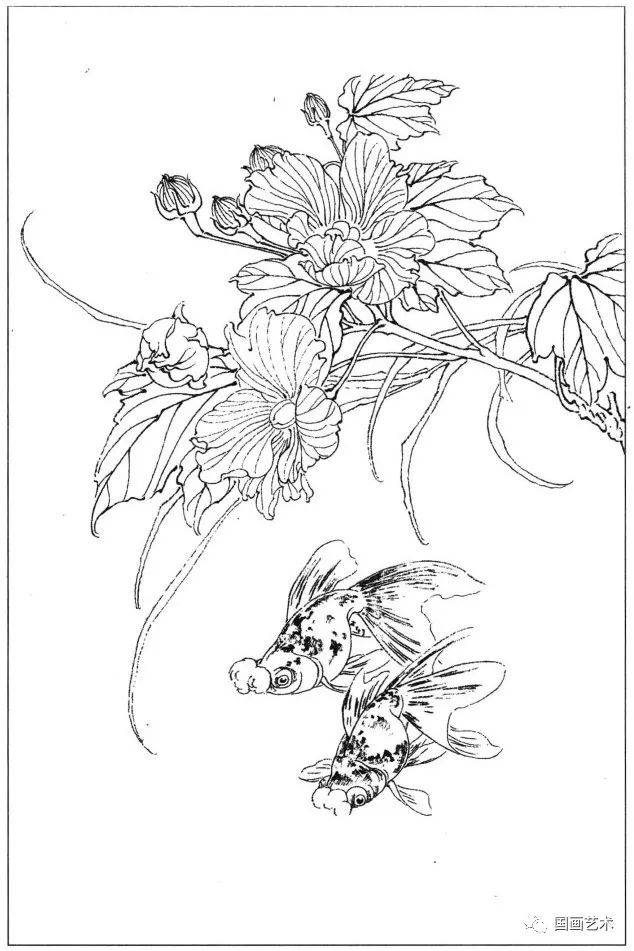花鸟鱼虫白描画谱分享
