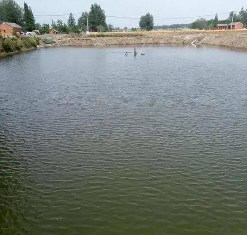 史上最全的池塘水色观察方法以及异常水色处理方案