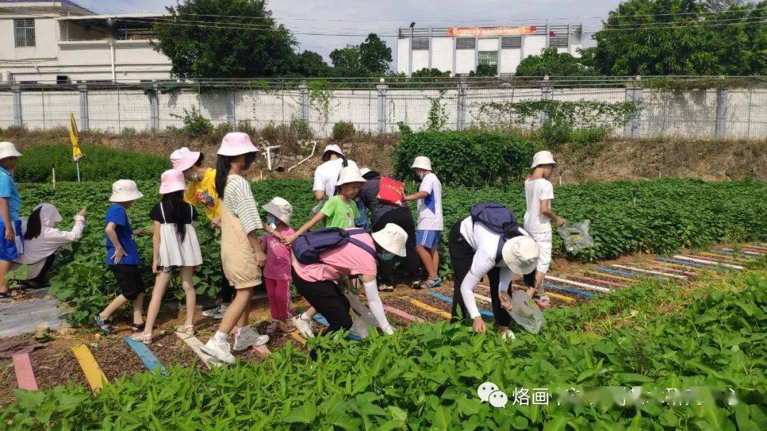 活动回顾腾飞石围体验农事乐趣科普农耕文化