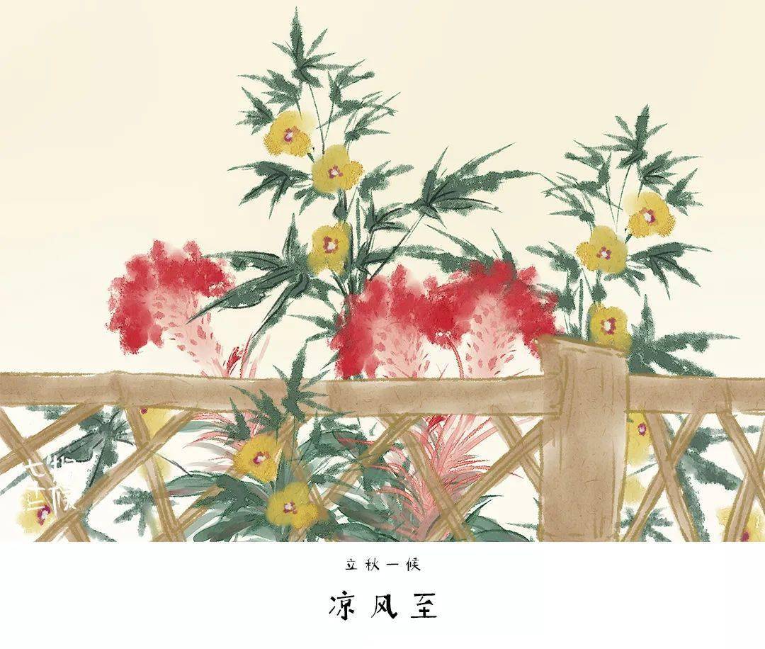 今日立秋 | 这碗立秋汤,主要是清身体的废水.