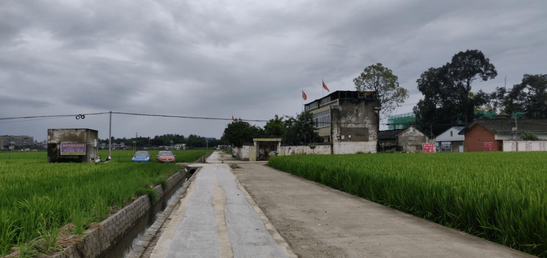 助力乡村振兴—风景园林学院实践团队赴四川省广汉市连山镇进行生态