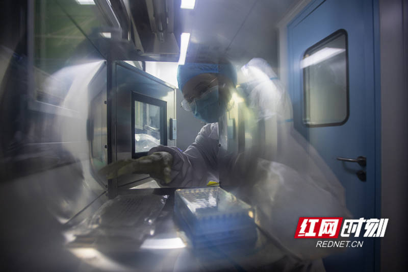 检测|疾控福尔摩斯｜就好像“在地球上找乒乓球”，长沙圣斗士核酸检测“超精密”