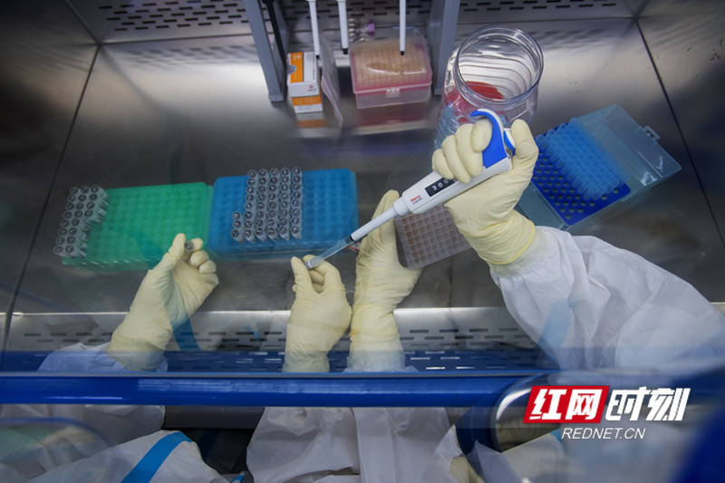 检测|疾控福尔摩斯｜就好像“在地球上找乒乓球”，长沙圣斗士核酸检测“超精密”