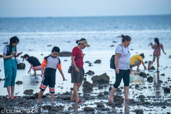 无人机|海南琼海：秋来赶海乐