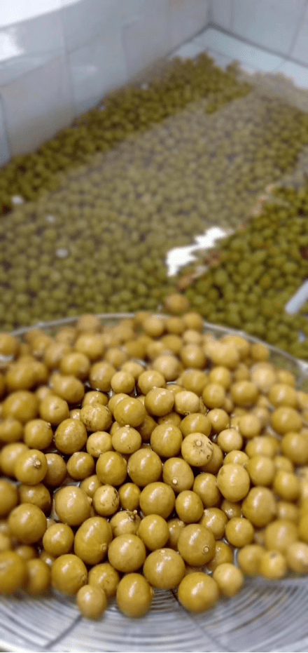 四会罗源仁面上央视啦