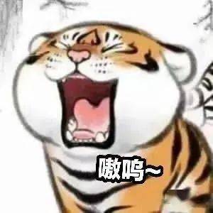ec64cfeda60d439795db5cacd17bfde6.jpeg
