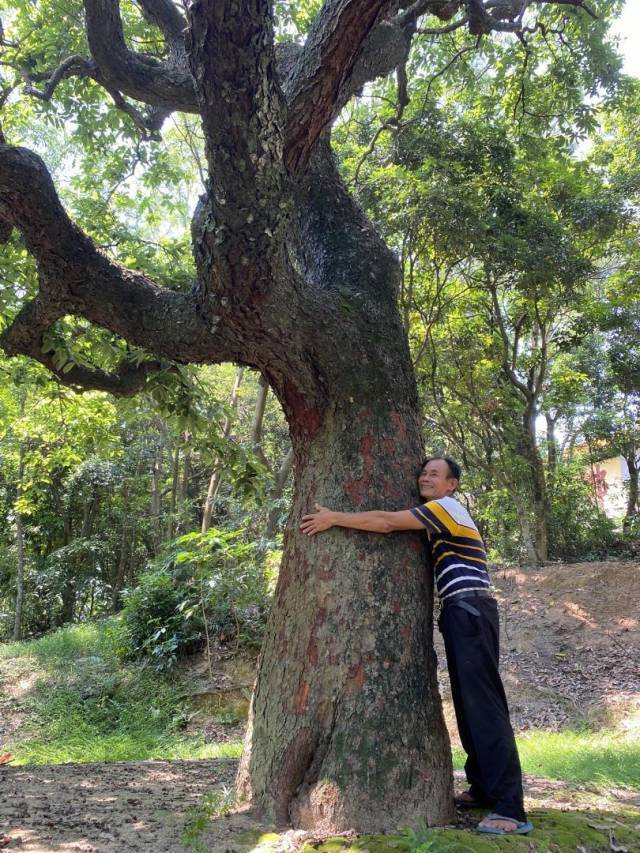 "五福柿送上门,祝您五福临门,事事顺利!