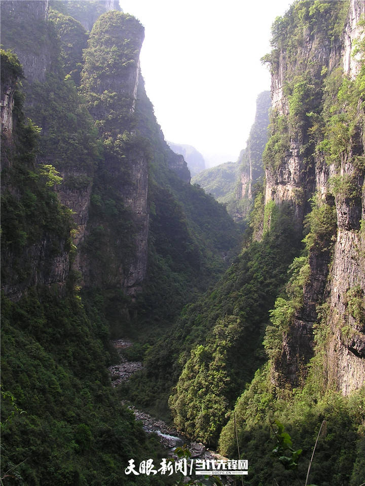 避暑度假到贵州丨麻阳河国家级自然保护区:探秘原生态自然风光