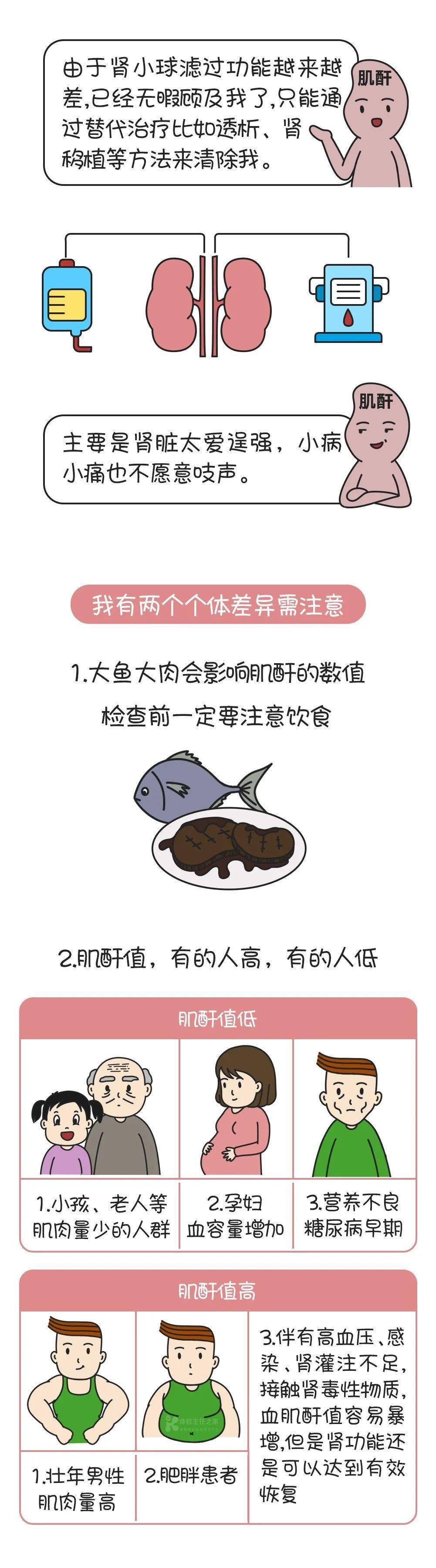 血液|科普 | 发现“肌酐”升高，千万别大意！小心……