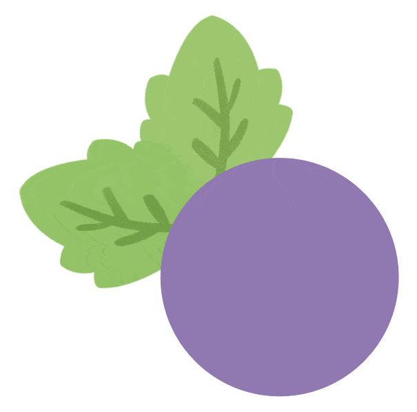 五四农场地产优质果品进公园,受广大市民热捧_葡萄