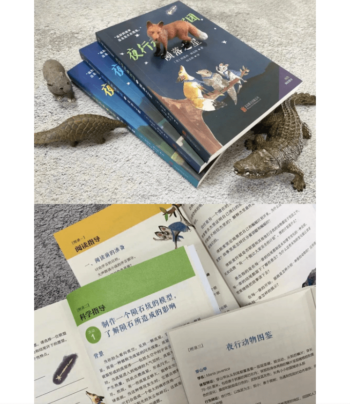 动物|大人从不这样做 | 童书新品