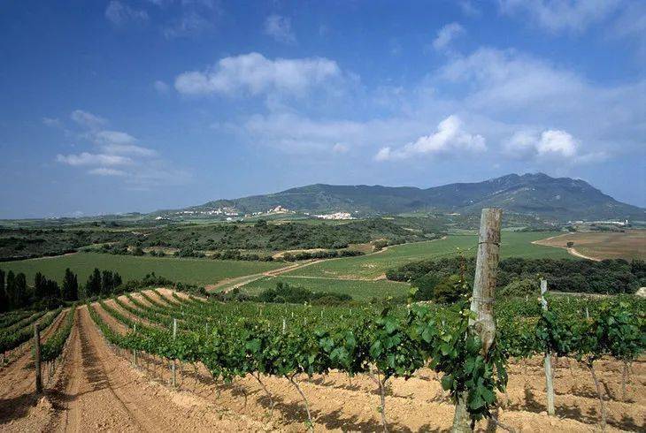 澳大利亚10个葡萄酒产区,都有哪些?