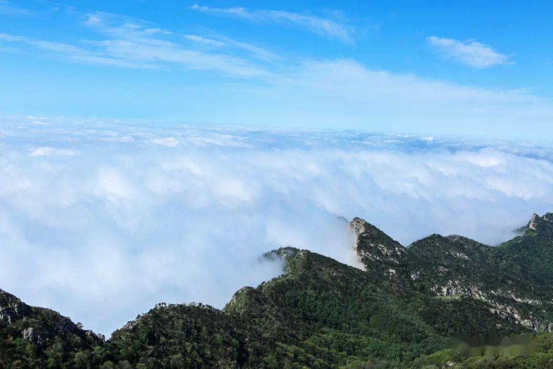 泰山云海千古霸气巍巍峻岭云涌万里