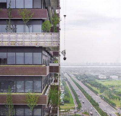森林|为了填补缺失的绿地和公园 建筑师们建起了“垂直森林”