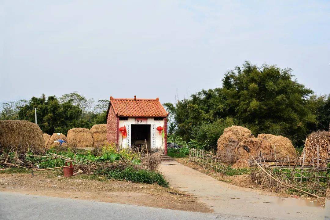 了解我们的家乡石龙镇新乐村简介