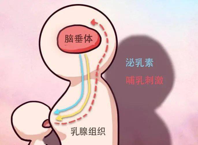 母乳期遇上乳腺炎,n個疑問幫您解答了