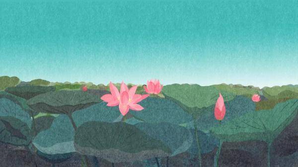 生活|你的回忆，填满了整个夏天！