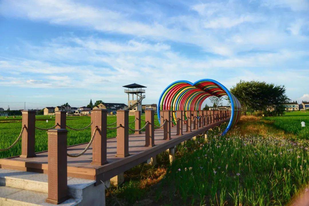 前黄镇联庆村在希望的田野上吹响乡村振兴集结号