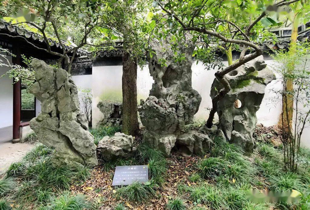 沪上名园——秋霞圃(下)