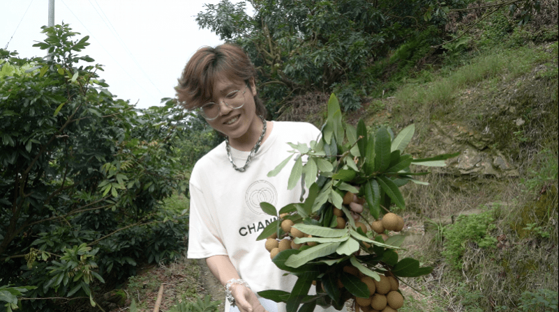 湾区|给龙眼写一首情歌！湾区青年用说唱推广高州农业品牌