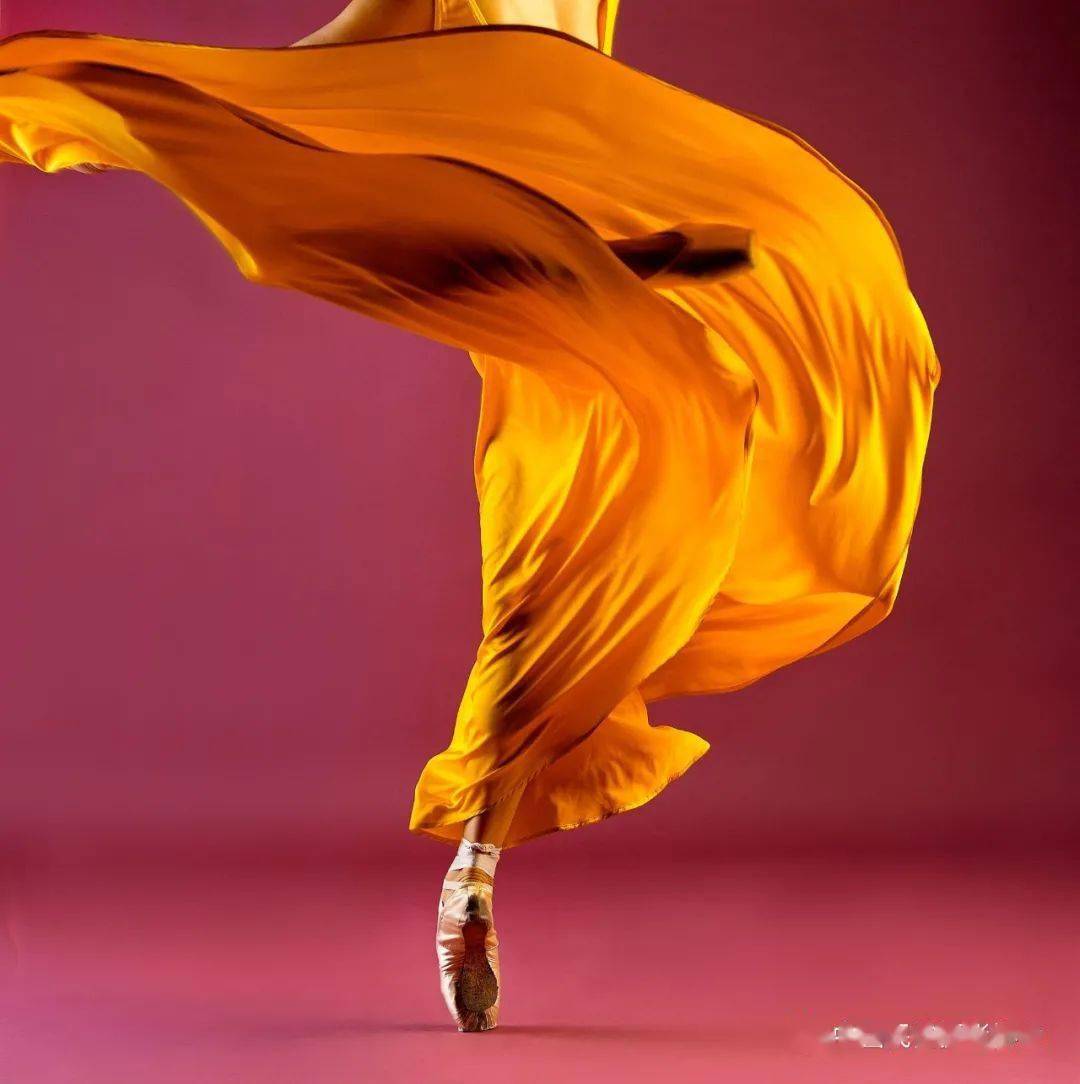 人物|谢墨:全球华人首位"哈苏摄影大师",用镜头探秘海底世界,用影像的