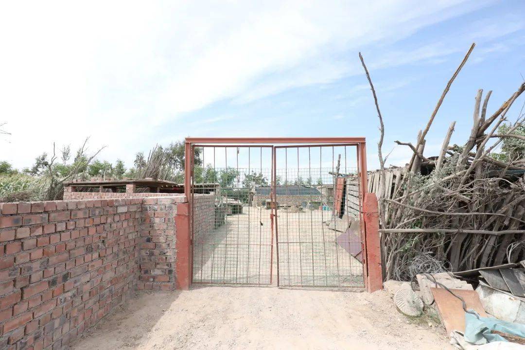 我为群众办实事我为村民修羊圈真心实意解民忧