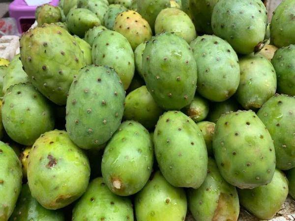 【硕果盈秋话丰收】_仙桃