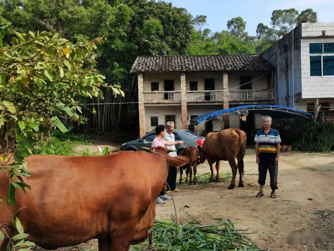 博白文地镇人口_博白这个乡镇铁腕治污,13天拆除40家违法猪场