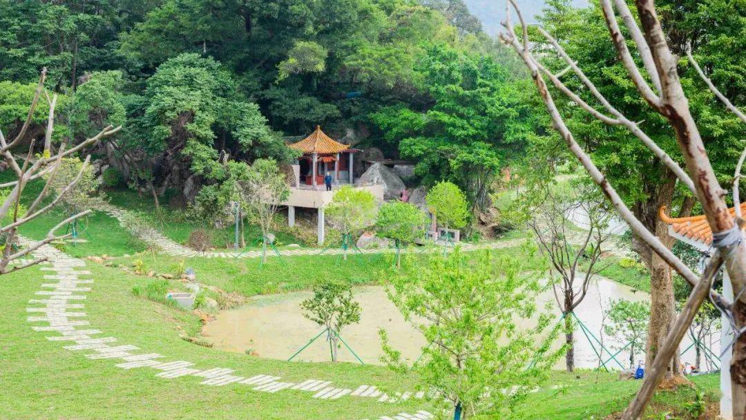 接下来,三灶镇委,镇政府将按照上级要求,着力以乡村旅游为新引擎,助力