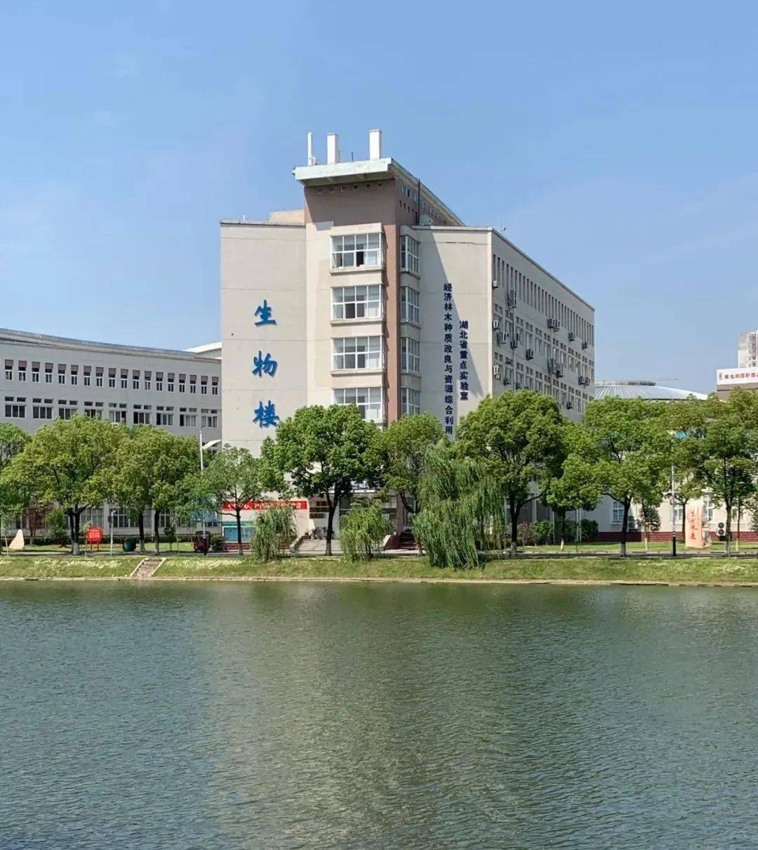 黄冈师范学院南区图片