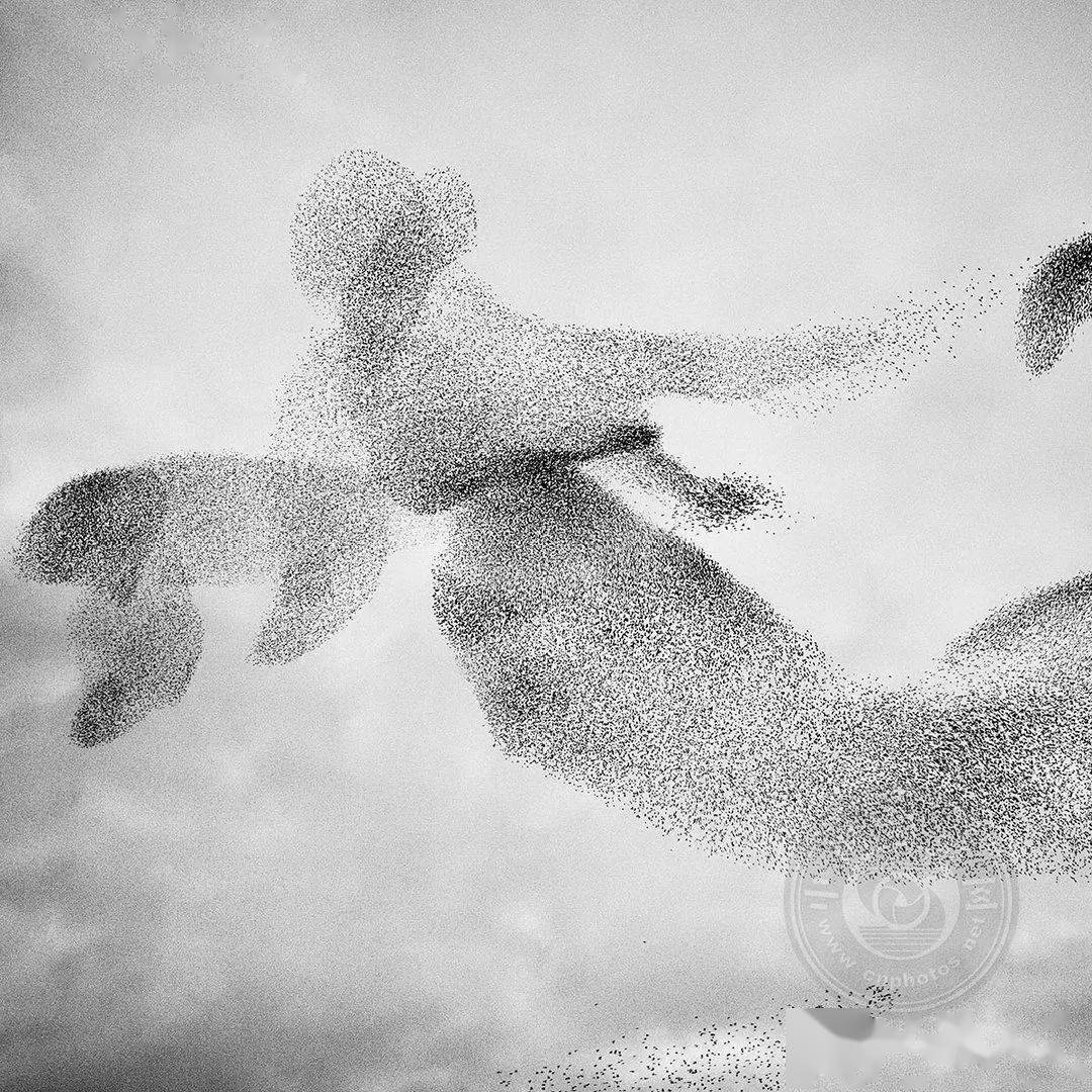 作品|获奖公布 | 2021第三届极简主义摄影奖（年度摄影师）作品揭晓