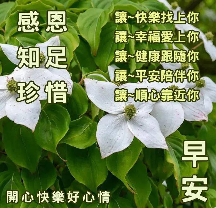 早上好表情包問候朋友們帶上微笑迎接吉祥