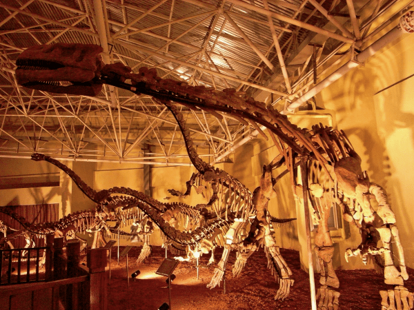 楚雄禄丰世界恐龙谷