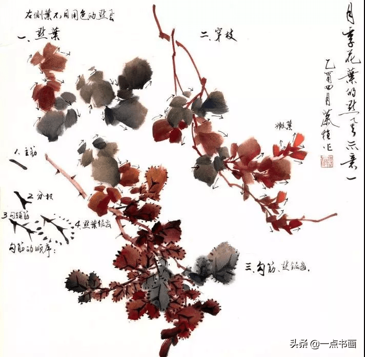 月季花写意画法图解