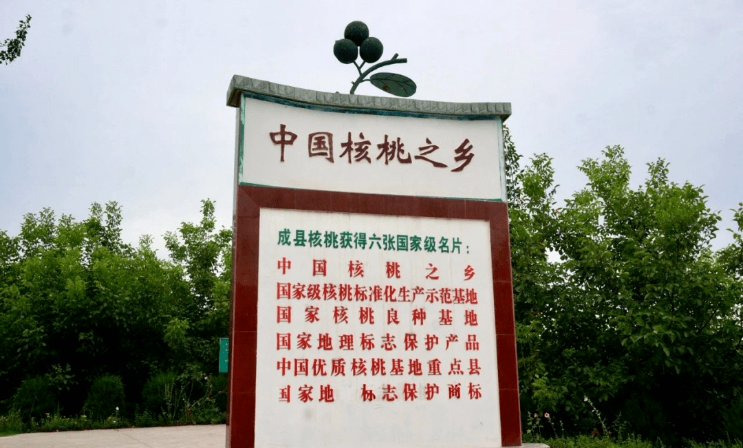 你要的去青皮鲜核桃来了!顺丰包邮