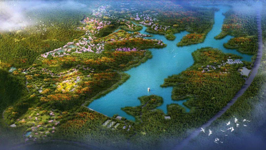 迎龙湖国家湿地公园鸟瞰图