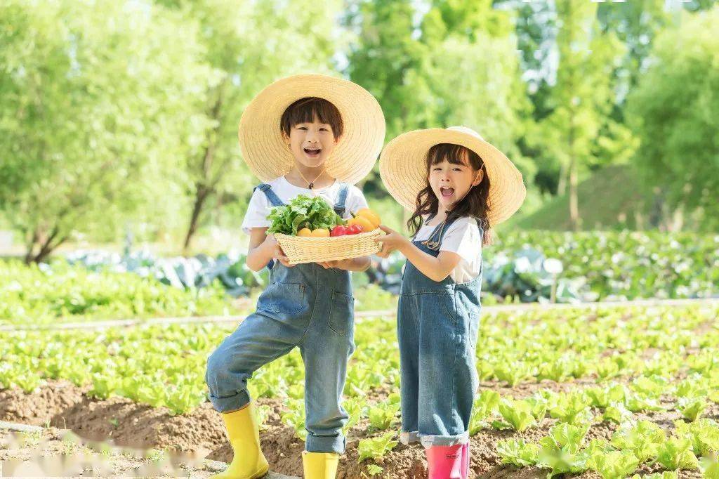 湿地公园和汽车博物馆打卡采摘亲子时光开启嘉定洗肺度假