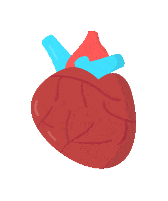 饮食|糖尿病怎么控制血糖？记住这些就够了