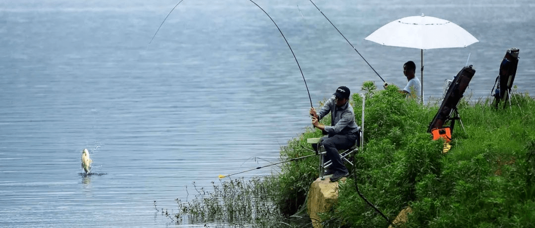 下雨天钓鱼怎么才能爆户老钓友分享雨中雨后的钓鱼技巧保证让你连竿不