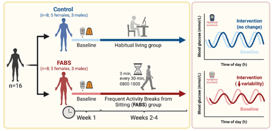进行|坐30分钟,要动3分钟!瑞典研究
